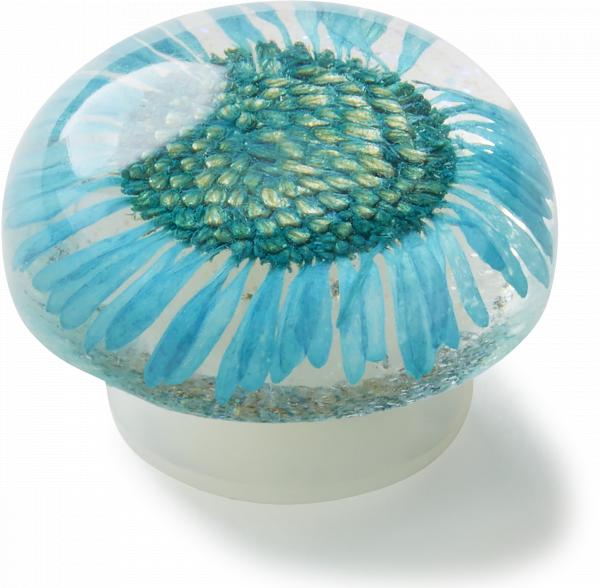 Encapsulated Blue Daisy